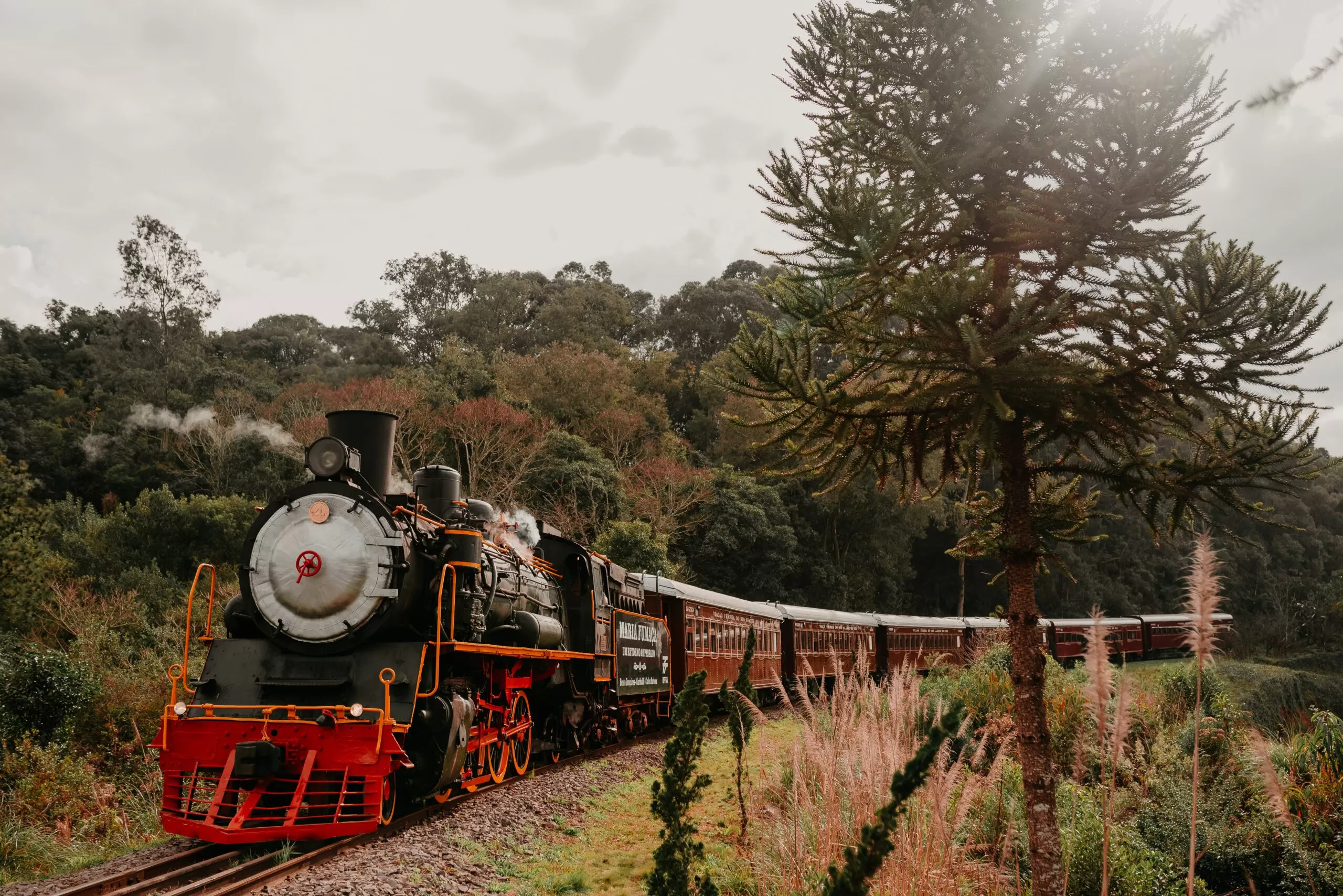 Trem Maria Fumaça - Imagem 4